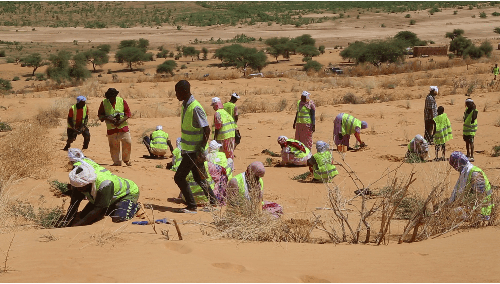 reclaiming land