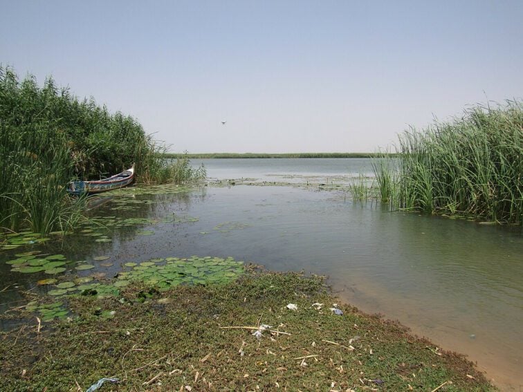 Lake Guiers is an important source of drinking water in Senegal. Community intervention through living laboratories in health and territory is allowing better management. Credit: Chelsealawood/Wipedia, under CC license, Atrib. 2.0