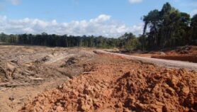Why deforestation is causing heat deaths to soar