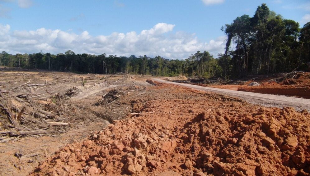 Due to agriculture, logging, mining, and other activities, 760,000 km2 of forests were deforested in South and Central America between 2001 and 2020, contributing to a substantial increase in temperature. Image credit: Serfor, Peru. Image in the public domain.