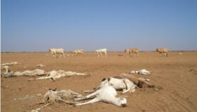 Code red for humanity, UN climate report warns