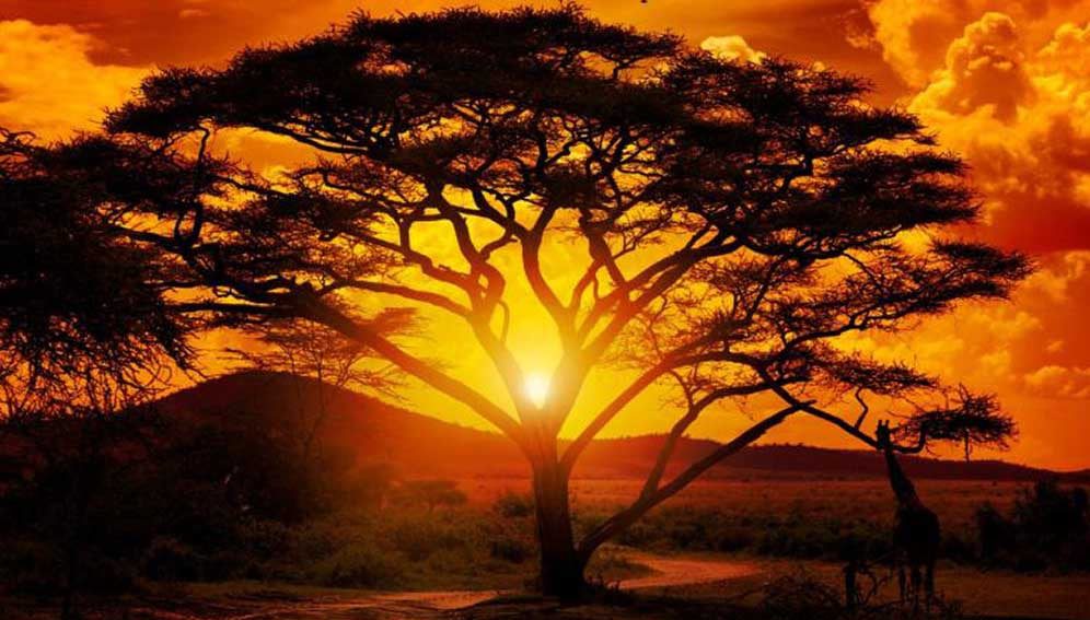 Extreme weather and climate-related events affected at least 13 million people and led to over 3 000 reported fatalities in Africa in 2025 - WMO