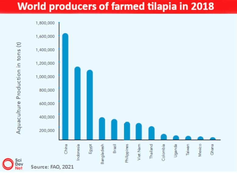 World Producer of Farmed Tilapia in 2018. Source: FAO 2018.