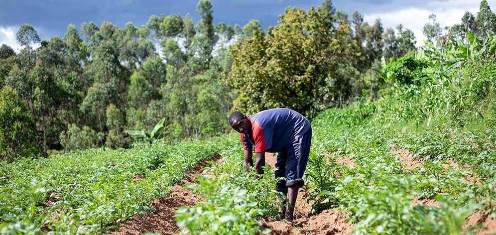 Photo by Safari Consoler: https://www.pexels.com/photo/a-farmer-in-an-agricultural-field-11588042/