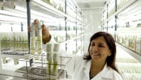 Genebanks needed for climate-resilient crops to thrive