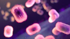 WHO poised to declare international mpox emergency