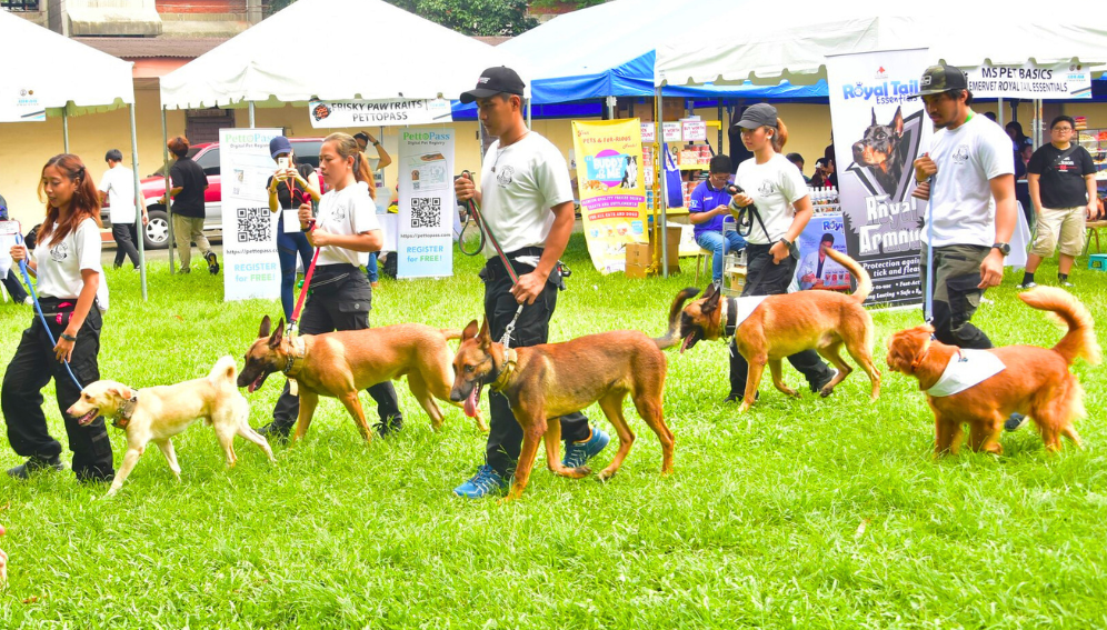 A charity in the Philippines is training pet dogs and their owners to act as disaster responders.