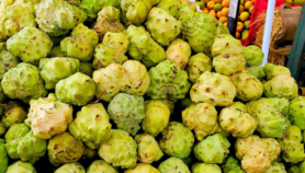 Climate-smart actions to reduce crop loss in Africa