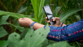 Big tech ‘leave poor farmers sidelined’ in AI revolution