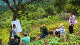 Collaboration for sustainable Amazon food production