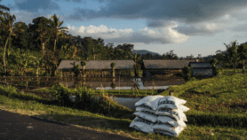 Agroecology urged as Mideast crisis deepens food insecurity