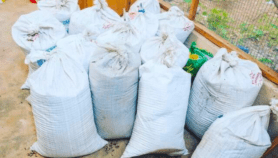 Igniting innovation, creativity in Africa’s ecopreneurs