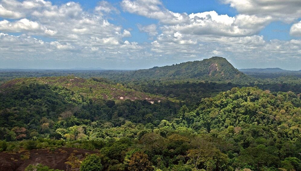 Suriname is one of the smallest South American countries and is surrounded by jungle, which favors the proliferation of the malaria-transmitting mosquito. Image credit: David Evers/Flickr , under Creative Commons CC BY 2.0 license.