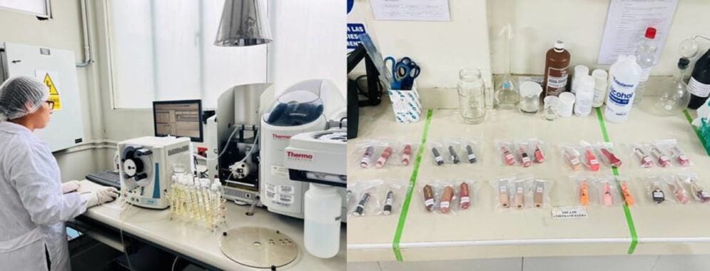 Evelyn Santos (left) analysed 30 lipsticks collected from informal markets in downtown Lima using atomic absorption spectrophotometry. She found heavy metals in all of them. Copyright: Evelyn Santos/SciDev.Net.