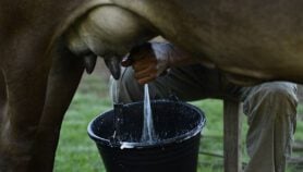 UN trans fat crackdown disputed over impact on poorest