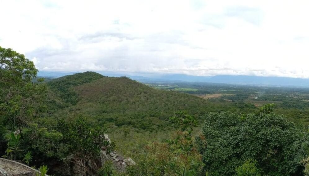 The demand for minerals for clean technologies poses a potential risk to sensitive ecosystems like the Amazon. Image credit: Cecilia Luque for SciDev.Net