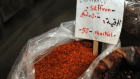 El Nino to pile on suffering Kashmir saffron farmers