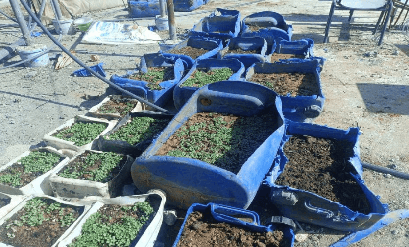 Famine is imminent in the northern part of the Gaza Strip, where around 300,000 people are trapped, the UN has warned