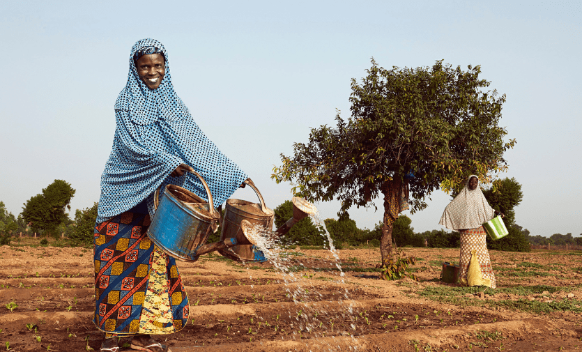 Abandoned women Niger’s Tillaberi arid region watering their plots with watering cans. Photo credit: World Bank Photo Collection