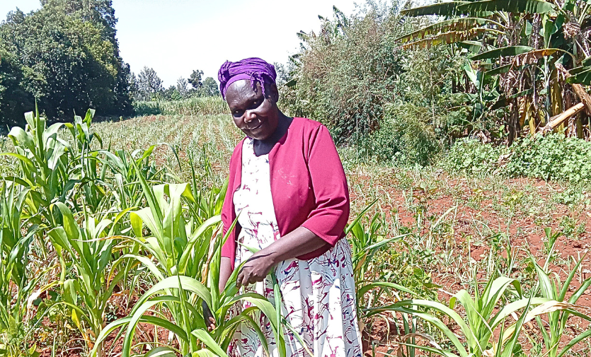 Salome Hamala from Kimilili sub-county in Bungoma County in western Kenya says she faces pre-harvest crop loses occasioned by climatic factors, pests and diseases, which are compounded by her inability as a woman to make certain decision regarding farming activities 