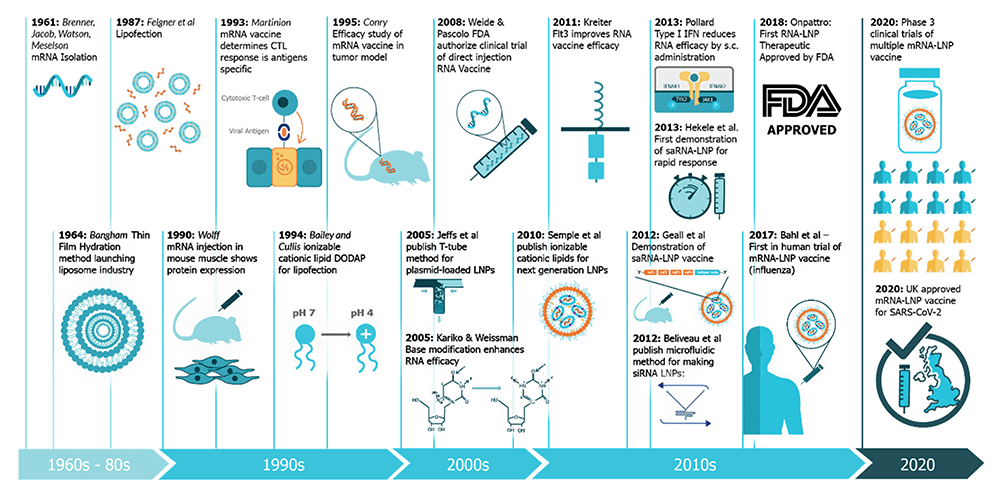 mrna dev mapping